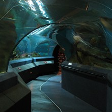 Darwin Aquarium