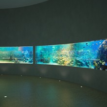 Sindok Aquarium
