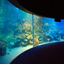 Istanbul Underwater World